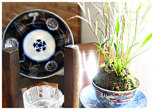 ���g���G�݂Ƒۋ�